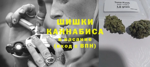 винт Алексин