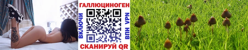 Псилоцибиновые грибы GOLDEN TEACHER  Самара 