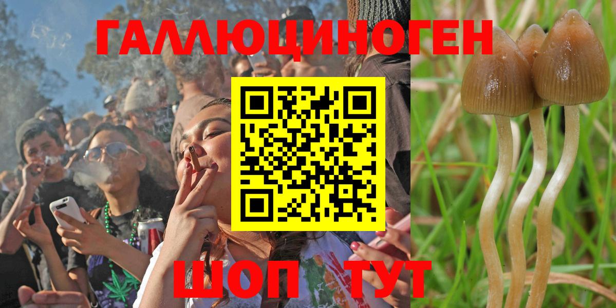 Псилоцибиновые грибы Cubensis  Вход с VPN  даркнет сайт  Самара 